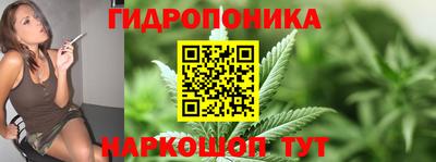 индика Лесосибирск