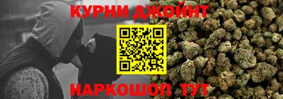 индика Лесосибирск