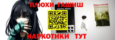 индика Лесосибирск