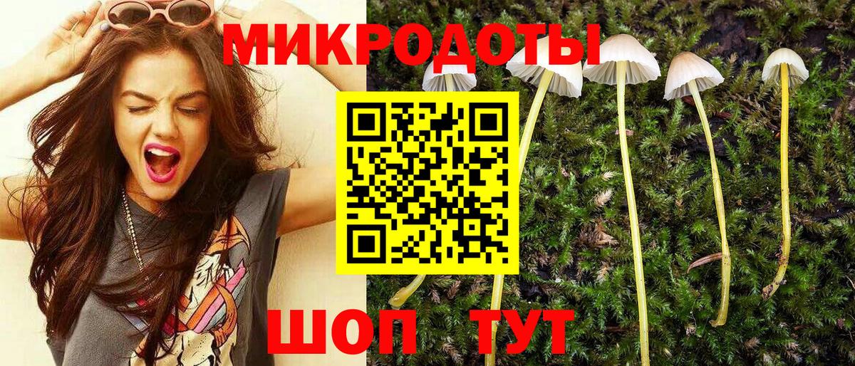 Пугачёв  Галлюциногенные грибы Psilocybe  Вход с VPN 