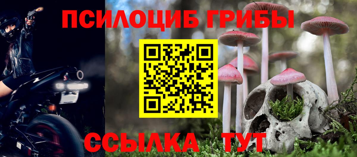 Псилоцибиновые грибы мухоморы Пугачёв